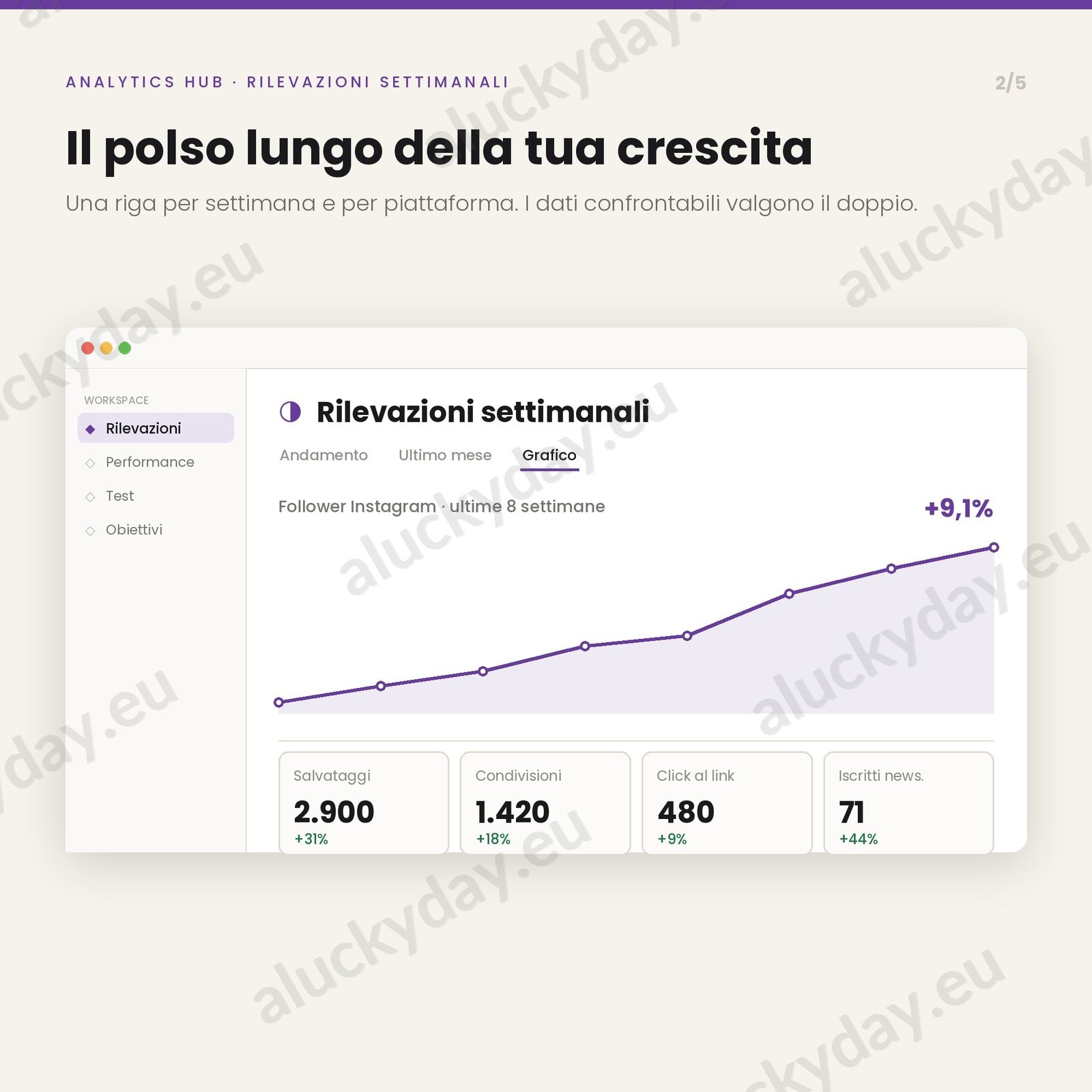 Analytics hub — rilevazioni settimanali